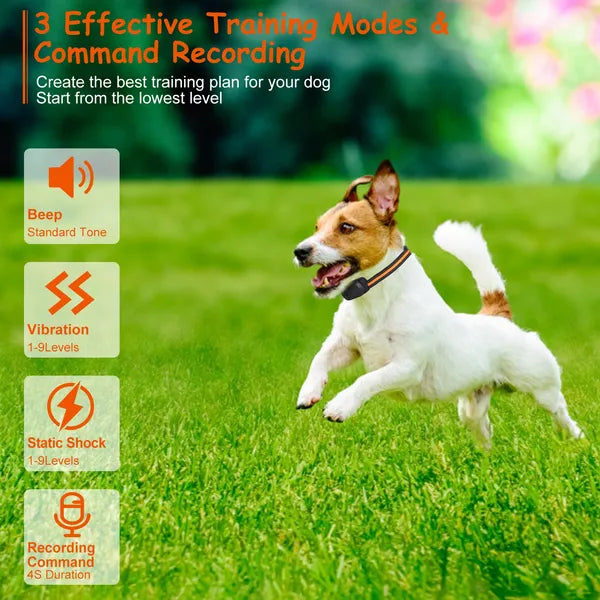 984FT Dog Training Collar IP65 Waterproof Pet Beep Vibration Electric Shock Collar 3 Channels Rechargeable Transmitter Receiver Trainer With Recording Safety Keypad Lock