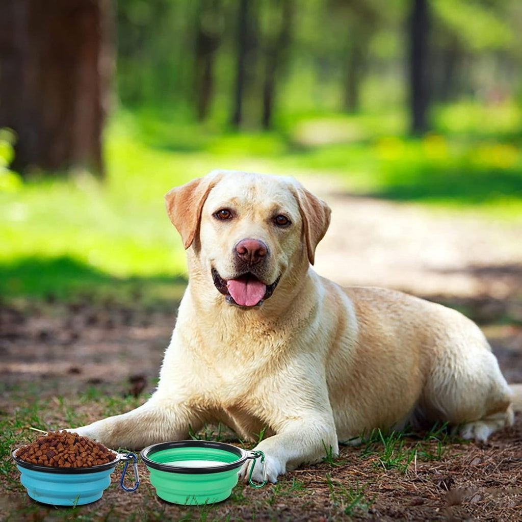 Collapsible Bowl With Cover Lids,2 Pack Dog Travel Bowls Portable Foldable Cat Water Dish Bowl For Pets Walking Parking Camping