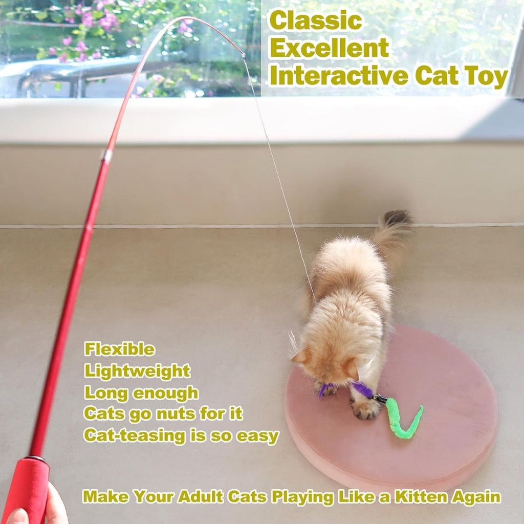 Cat Toys For Indoor Cats, Interactive Cat Toy 2PCS Retractable Wand Toy And 9PCS Cat Feather Toys Refills, Funny Kitten Toys Cat Fishing Pole Toy For