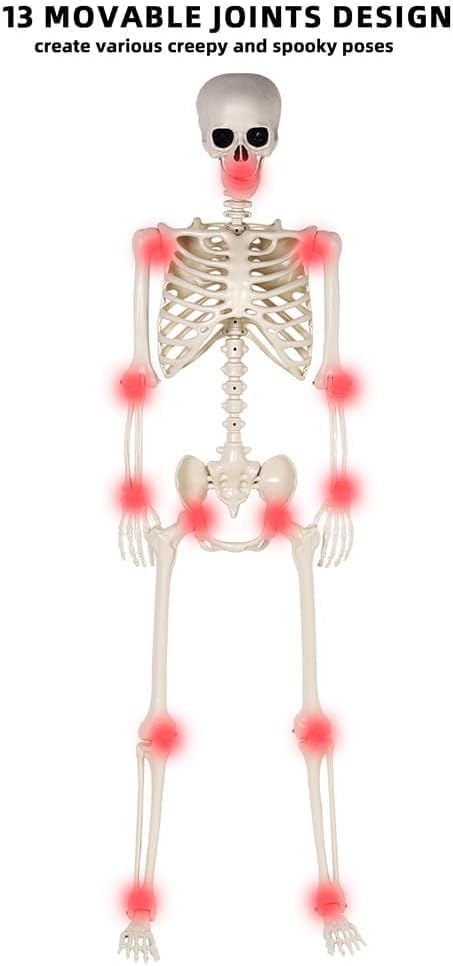2 Pack 36" Halloween Skeleton - 3 ft Life Size Human Skeleton with Full Body Posable Joints - Spooky Scary Plastic Skeletons for Outdoor Decoration, Halloween Party Decor, Haunted House Props