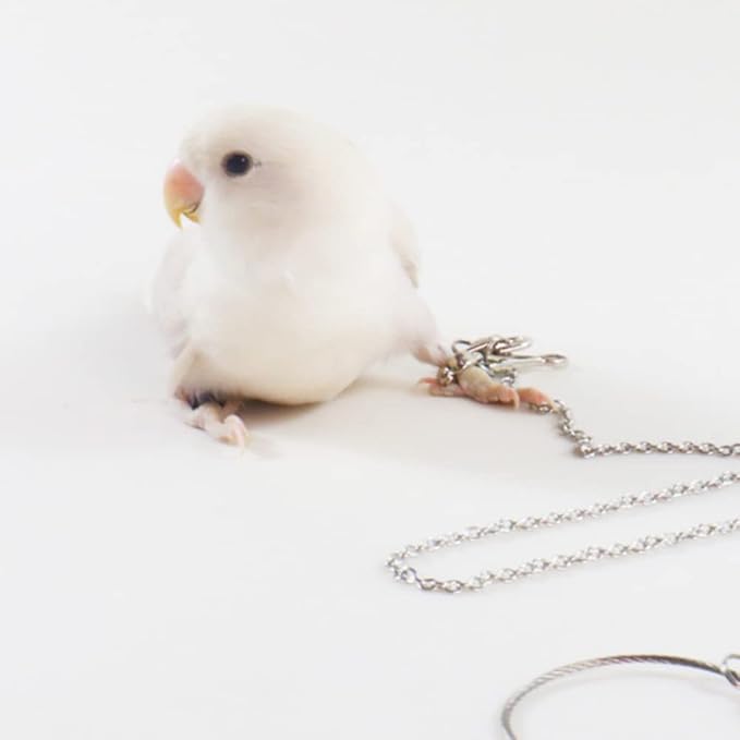 Bird Foot Chain Flying Stainless Steel Training Rope Outdoor Parrot Ankle Foot Ring Accessories Bird Harness Leash Prevent Escaping (4#)
