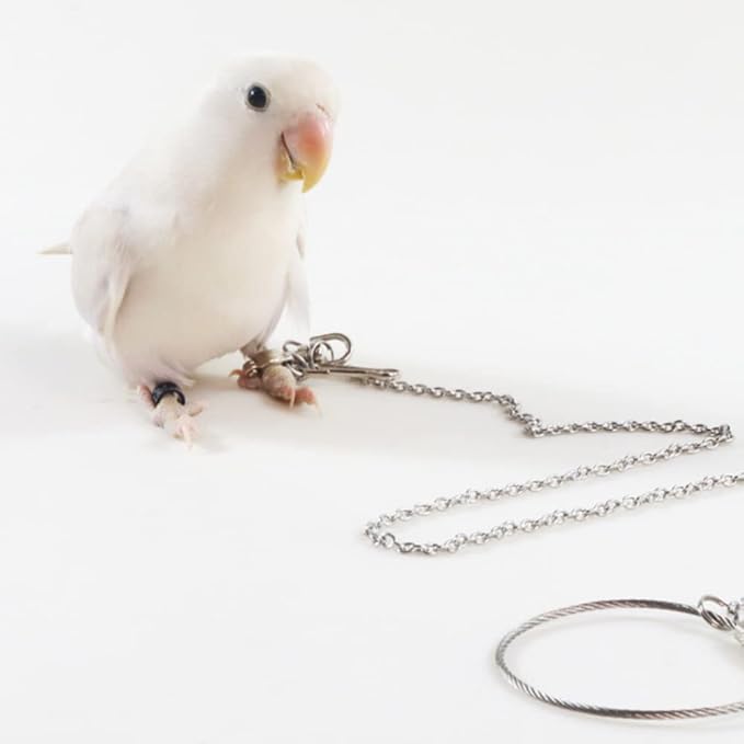 Bird Foot Chain Flying Stainless Steel Training Rope Outdoor Parrot Ankle Foot Ring Accessories Bird Harness Leash Prevent Escaping (8#)