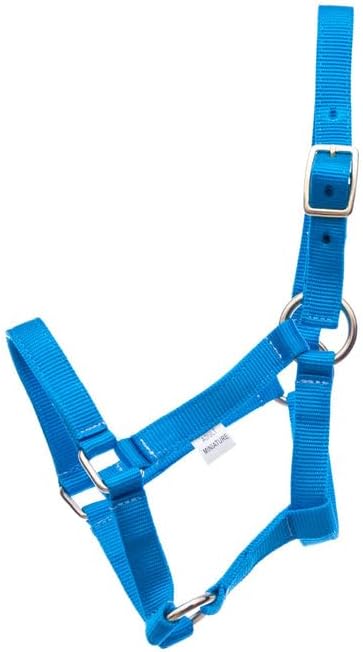 Jeffers Equine Mini Horse Halter – 3/4" Nylon Adjustable Halter for Miniature Horses, Ponies, Under 200 lbs – Heavy Duty Hardware, Secure Fit for Training, Turnout, Grooming, Travel – Turquoise
