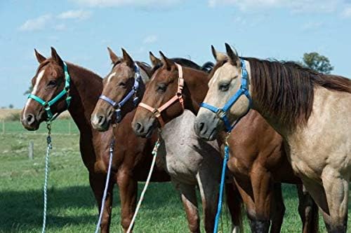 Weaver Leather Original Adjustable Nylon Horse Halter