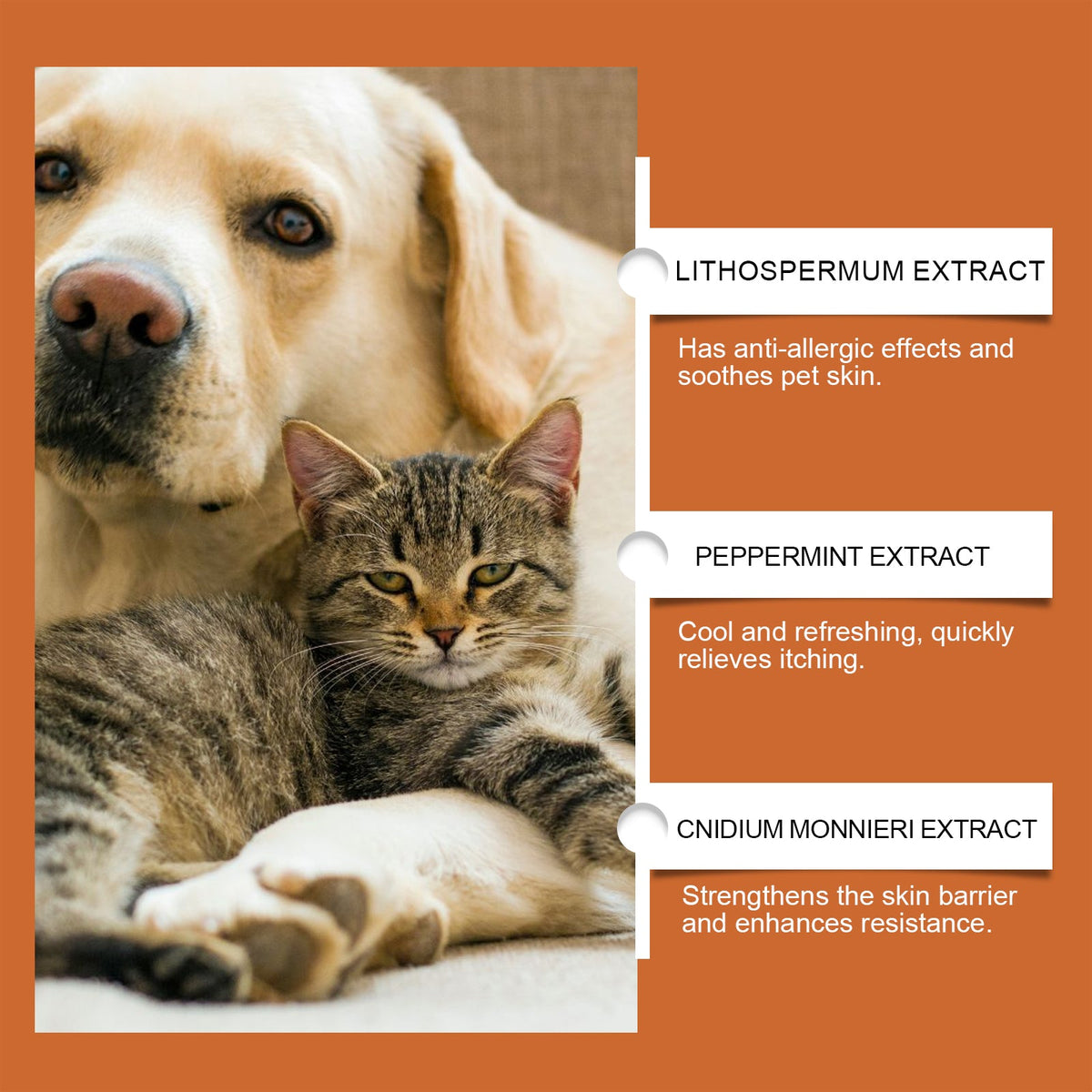 Pet Itch & Allergy Relief Cream, Soothing Skin  For Dogs & Cats, Natural Herbal Extracts For Itch, Bites & Irritated Skin, 50g
