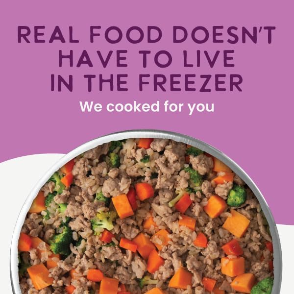 Health Extension Gently Cooked Lamb & Carrot Dog Food, Human-Grade & Shelf-Stable with Superfoods, Supports Digestion, Immunity, Skin & Coat, 3 oz Pouch (Pack of 10)