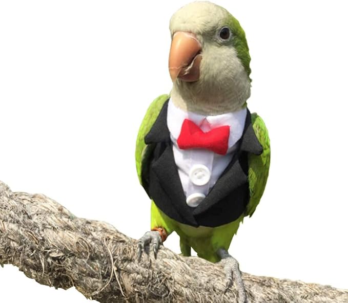 Bird Clothes Birds Flight Suit,Tuxedo Business Suit for Parrots African Greys Parakeet Cockatiel Sun Conure Christmas Party Birthday Cosplay Photo Prop Small Animals Apparel (2M,Black Suit)