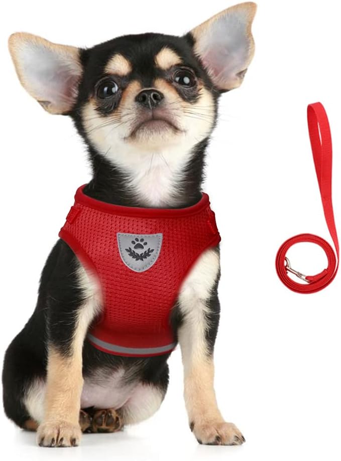FEimaX Dog Harness and Leash Set for Walking, Soft Mesh Adjustable Easy Control Lightweight Cat Vest Harnesses with Reflective Strips, Escape Proof Small Dogs Cats Vests (Red, Small)