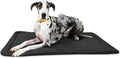 K9 Ballistics Tough Ripstop Dog Crate Pad - Durable & Machine Washable with Non-Skid Bottom and 120-Day Warranty, Fits 54" Wire Crates - XX-Large, Obsidian Black