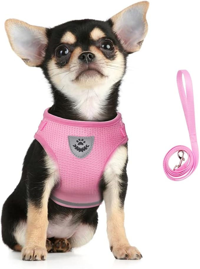 FEimaX Dog Harness and Leash Set for Walking, Soft Mesh Adjustable Easy Control Lightweight Cat Vest Harnesses with Reflective Strips, Escape Proof Small Dogs Cats Vests (Pink, Small)