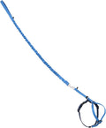 PetSafe Come with Me Kitty Harness and Bungee Cat Leash, Royal Blue, Medium | Adjustable 2-Point Fit Applies Gentle Pressure to Shoulders, Not Neck, for Small & Average Cats with 10.5 in - 14 in Girth