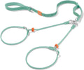 Howgo Double Slip Leash Slip Lead with Two Handles| Dual Dog Slip Lead for 2 Dogs,360° Swivel No Tangle | Dog Training Collar | Double Clip Leash Coupler and Splitter (MintGreen, 6FT)