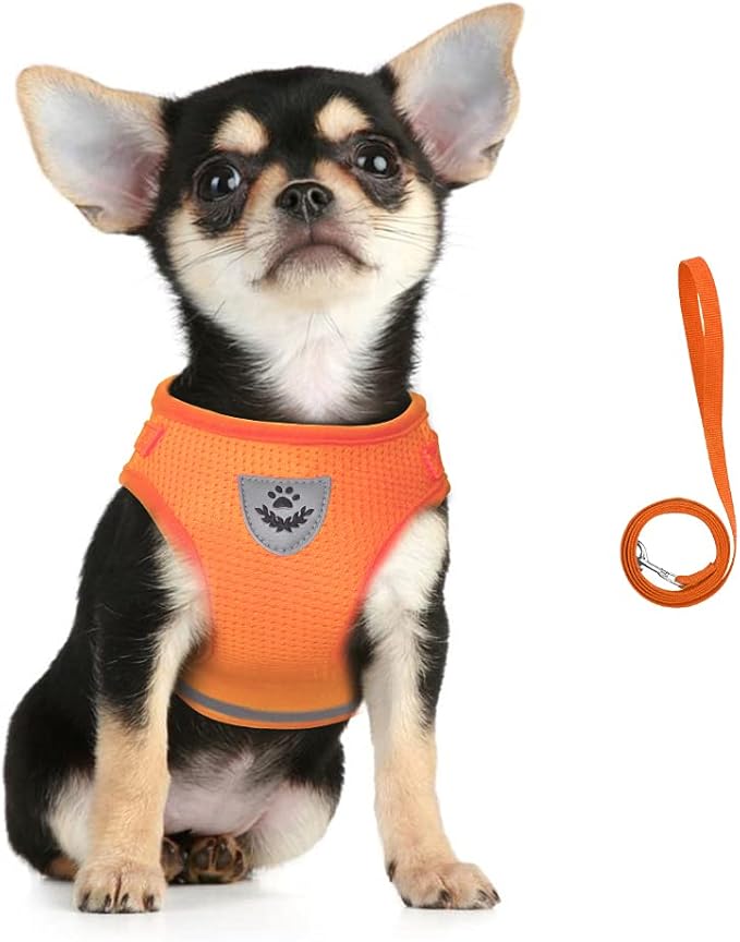 FEimaX Dog Harness and Leash Set for Walking, Soft Mesh Adjustable Easy Control Lightweight Cat Vest Harnesses with Reflective Strips, Escape Proof Small Dogs Cats Vests (Orange, X-Large)