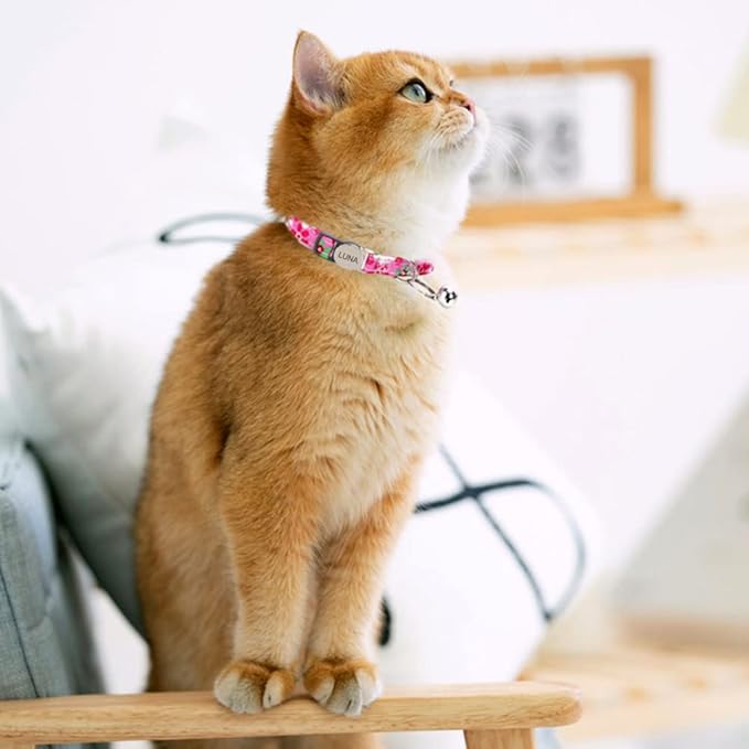 Personalized Breakaway Cat Collar with Bell - Name and Phone Number Engraved for Boys and Girls Kitten (Floral)