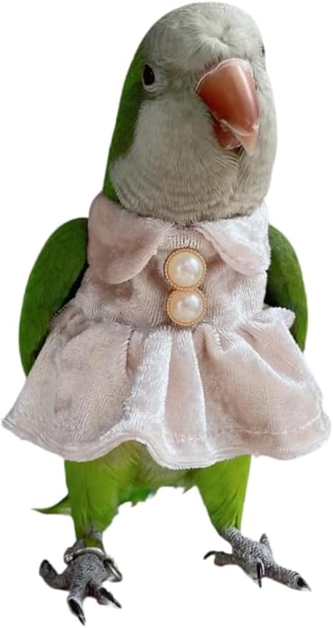 Bird Costume Bird Diaper Flight Suit Parrot Velvet Fleece Skirt Clothes Cosplay Photo Prop for Conure Lovebird Parakeet Cockatiel Macaw Small Animals Apparel (White,Macaw)