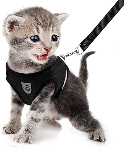 FEimaX Dog Harness and Leash Set for Walking, Soft Mesh Adjustable Easy Control Lightweight Cat Vest Harnesses with Reflective Strips, Escape Proof Small Dogs Cats Vests (Black, Small)