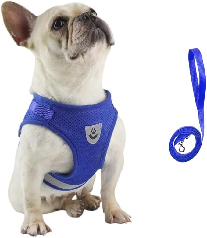 FEimaX Dog Harness and Leash Set for Walking, Soft Mesh Adjustable Easy Control Lightweight Cat Vest Harnesses with Reflective Strips, Escape Proof Small Dogs Cats Vests (Blue, X-Large)