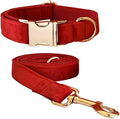 Velvet Dog Collar and Leash Set with Quick Release Metal Buckle | Bright & Stylish Leash and Collar Set, Soft Heavy Duty Pet Collars Adjustable for Samll Medium Large Dogs or Cats