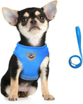 FEimaX Dog Harness and Leash Set for Walking, Soft Mesh Adjustable Easy Control Lightweight Cat Vest Harnesses with Reflective Strips, Escape Proof Small Dogs Cats Vests (Azure, Small)