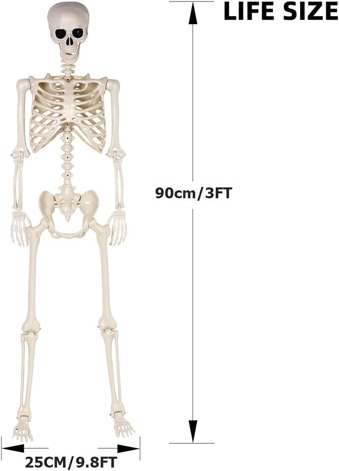 36" Halloween Skeleton - 3 ft Life Size Human Skeleton with Full Body Posable Joints - Spooky Scary Plastic Skeletons for Outdoor Decoration, Halloween Party Decor, Haunted House Props