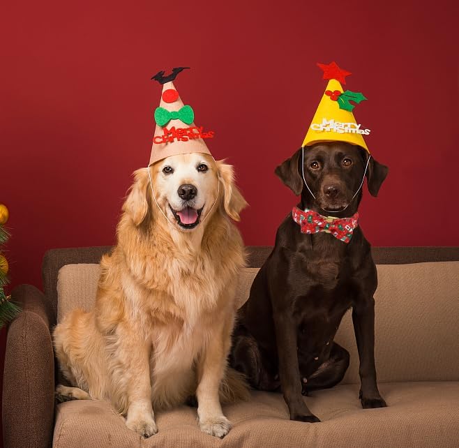Unique Style Paws Christmas Day Dog Collar with Bow Christmas Tree Cotton Puppy Collars for Small Medium Large Dogs