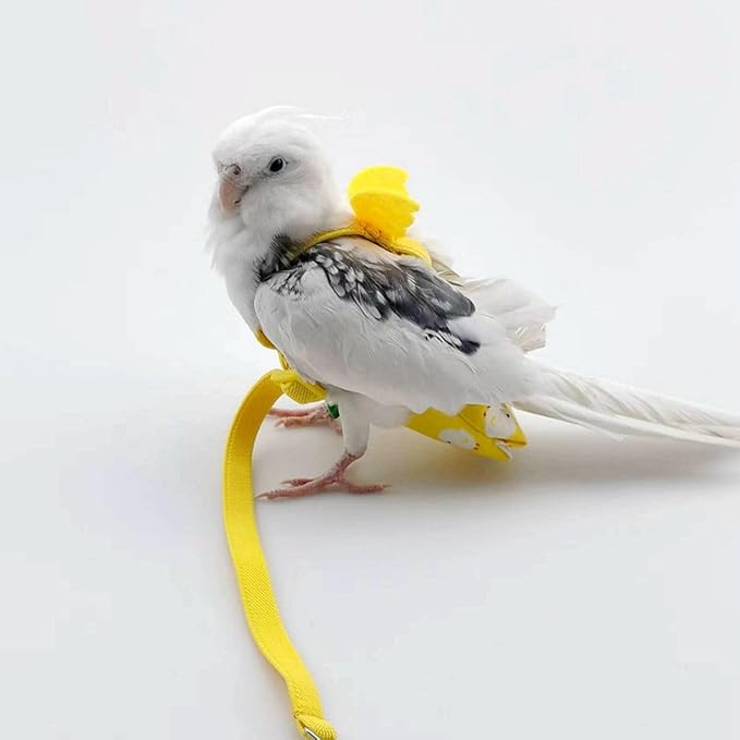 Adjustable Bird Diaper Harness Flight Suit Clothes with 80 Inch Flying Leash Rope for Parrots Conure Cockatiel (Blue,Sulphur-Crested Cockatoo)