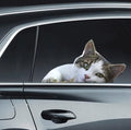 LEMONSODA Cat Car Window Decals Funny 3D Weatherproof Decals (Lazy Cat)