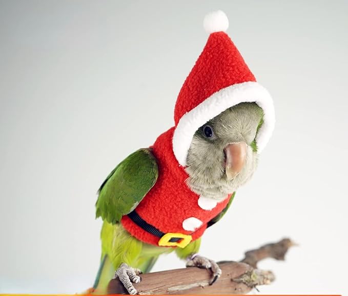 Bird Clothes Birds Flight Suit, Christmas Hoodie for Parrots Cockatiel Sun Conure Christmas Party Cosplay Photo Prop Bird Shirt Small Animals Apparel (with Diaper,Amazon)