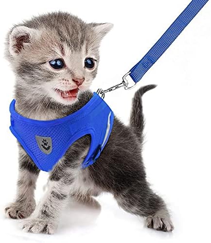 FEimaX Dog Harness and Leash Set for Walking, Soft Mesh Adjustable Easy Control Lightweight Cat Vest Harnesses with Reflective Strips, Escape Proof Small Dogs Cats Vests (Blue, X-Large)