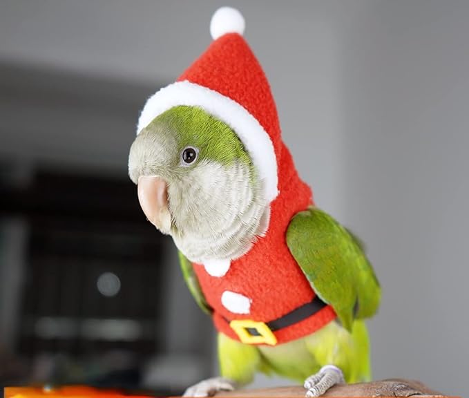 Bird Clothes Birds Flight Suit, Christmas Hoodie for Parrots Cockatiel Sun Conure Christmas Party Cosplay Photo Prop Bird Shirt Small Animals Apparel (with Diaper,Senegal)