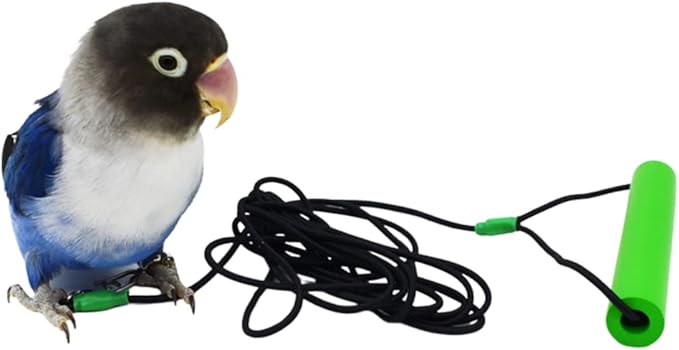 Bird Foot Chain with Flying Latex Elastic Training Rope Outdoor Parrot Ankle Foot Ring Accessories Bird Harness Leash Prevent Escaping (Model5-With 157.5inch Leash)