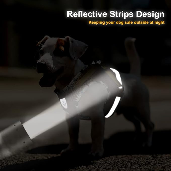 FEimaX Dog Harness and Leash Set for Walking, Soft Mesh Adjustable Easy Control Lightweight Cat Vest Harnesses with Reflective Strips, Escape Proof Small Dogs Cats Vests