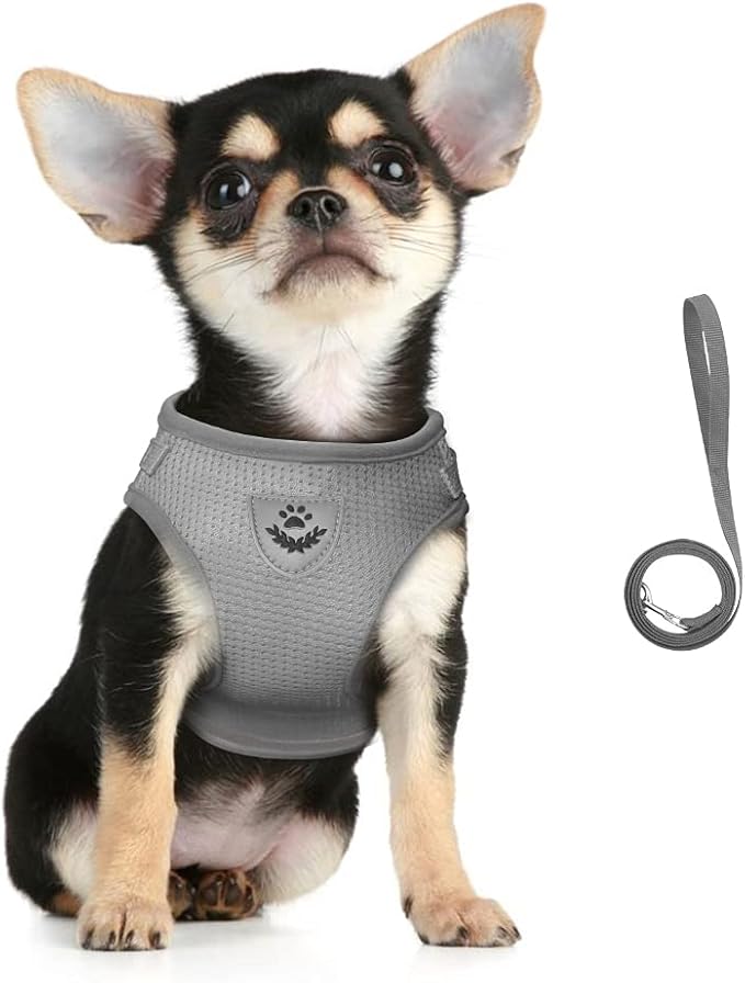 FEimaX Dog Harness and Leash Set for Walking, Soft Mesh Adjustable Easy Control Lightweight Cat Vest Harnesses with Reflective Strips, Escape Proof Small Dogs Cats Vests (Grey, Large)
