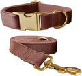 Velvet Dog Collar and Leash Set with Quick Release Metal Buckle | Bright & Stylish Leash and Collar Set, Soft Heavy Duty Pet Collars Adjustable for Samll Medium Large Dogs or Cats