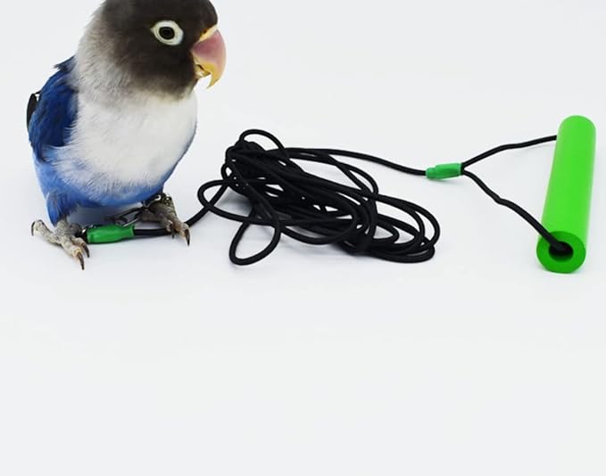 Bird Foot Chain with Flying Latex Elastic Training Rope Outdoor Parrot Ankle Foot Ring Accessories Bird Harness Leash Prevent Escaping (Model5-With 157.5inch Leash)