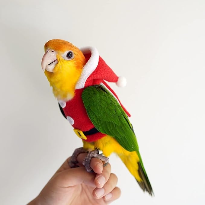 Bird Clothes Birds Flight Suit, Christmas Hoodie for Parrots Cockatiel Sun Conure Christmas Party Cosplay Photo Prop Bird Shirt Small Animals Apparel (with Diaper,Lorikeet)