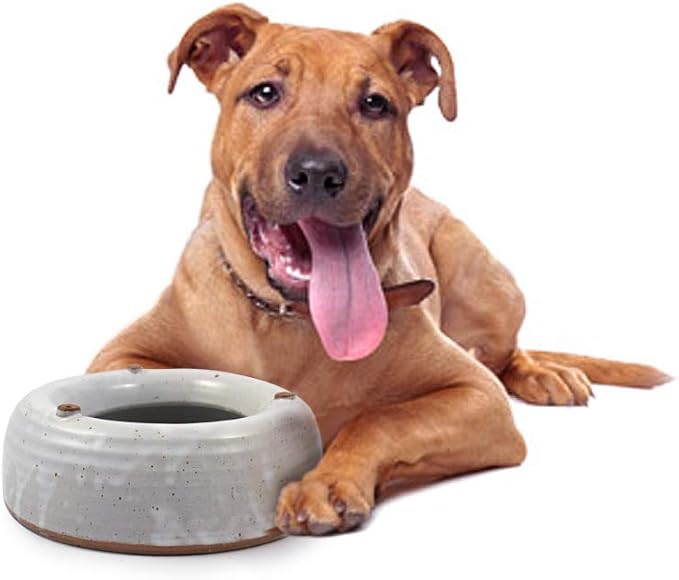 American Made Heavy-Weight Splash-Reducing Stoneware Water Bowl (48oz) | For Cats and Small Dogs