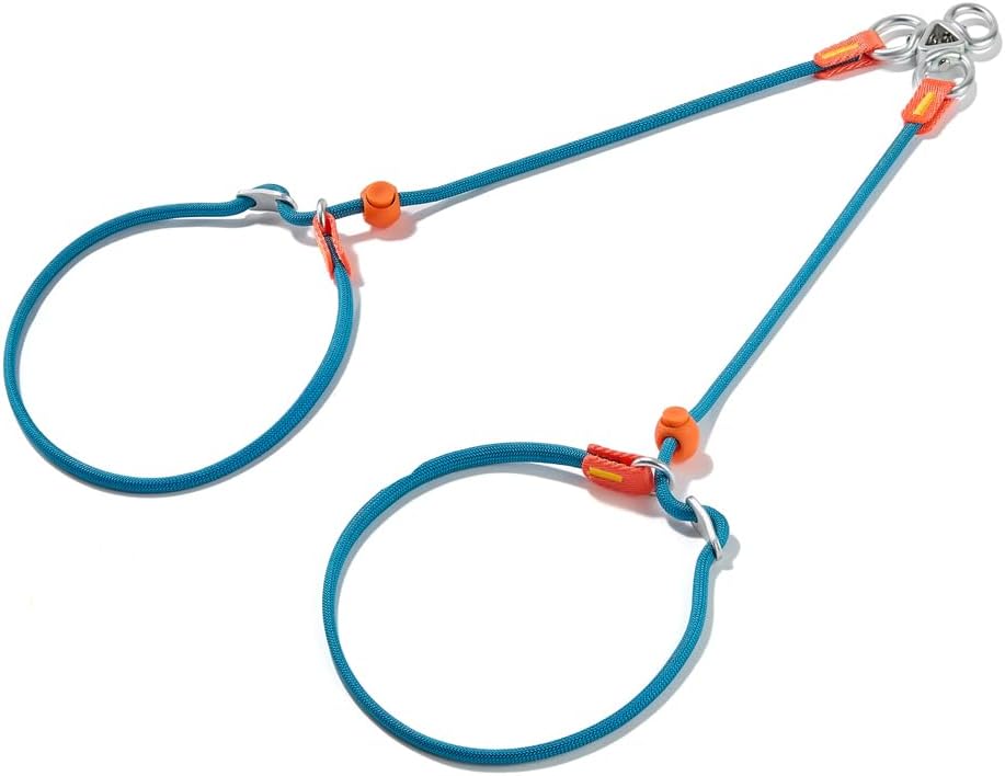 Howgo Double Slip Leash Slip Lead | Dual Dog Lead for 2 Dogs,360° Swivel No Tangle | Dog Training Nylon Leash and Collar | Double Clip Coupler and Splitter | Lightweight Aluminum (Multicolor, 3FT)