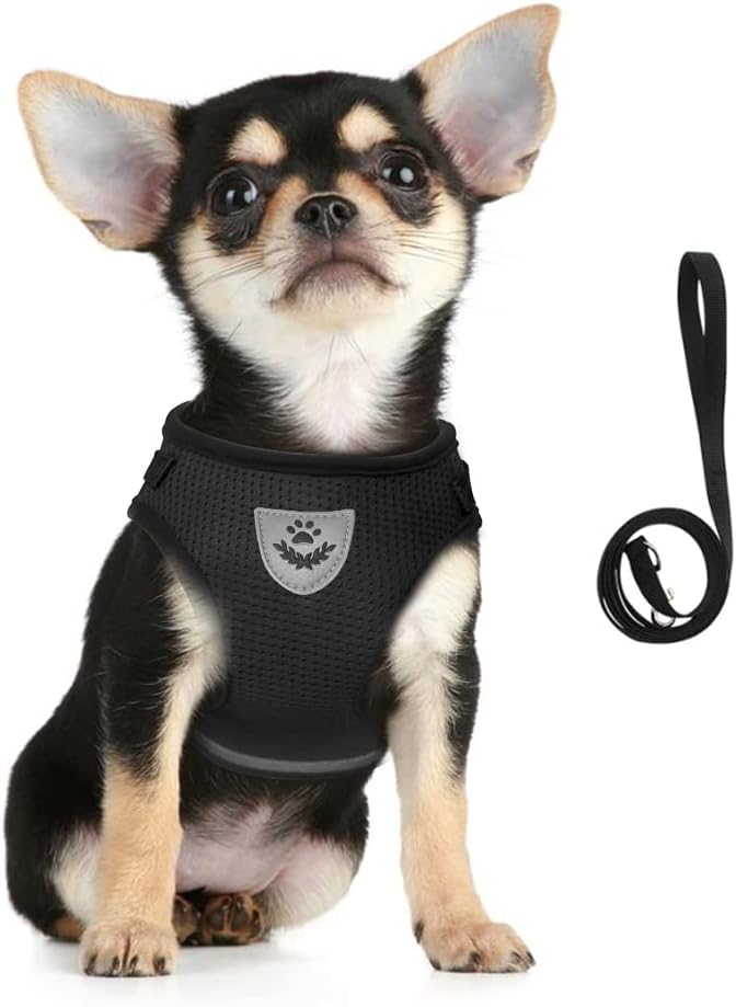 FEimaX Dog Harness and Leash Set for Walking, Soft Mesh Adjustable Easy Control Lightweight Cat Vest Harnesses with Reflective Strips, Escape Proof Small Dogs Cats Vests (Black, Small)