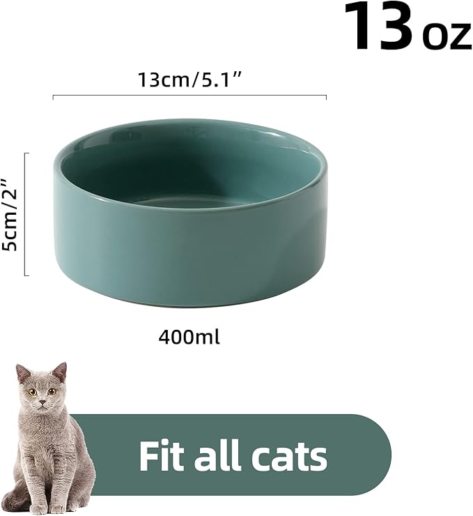 Ceramic Set of 2 Cat Bowls, Food and Water Bowls for Cats, Kitty, 2pcs Cat Dishes, Pet Feeder(5.1inch, 2 x Light Green Bowls)