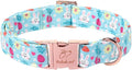 Easter Dog Collar, Cute Blue Bunny Easter Collar for Boy Girl Dogs, Adjustable Heavy Duty Spring Holiday Dog Collars for Small Medium Large Dogs with Metal Buckle S