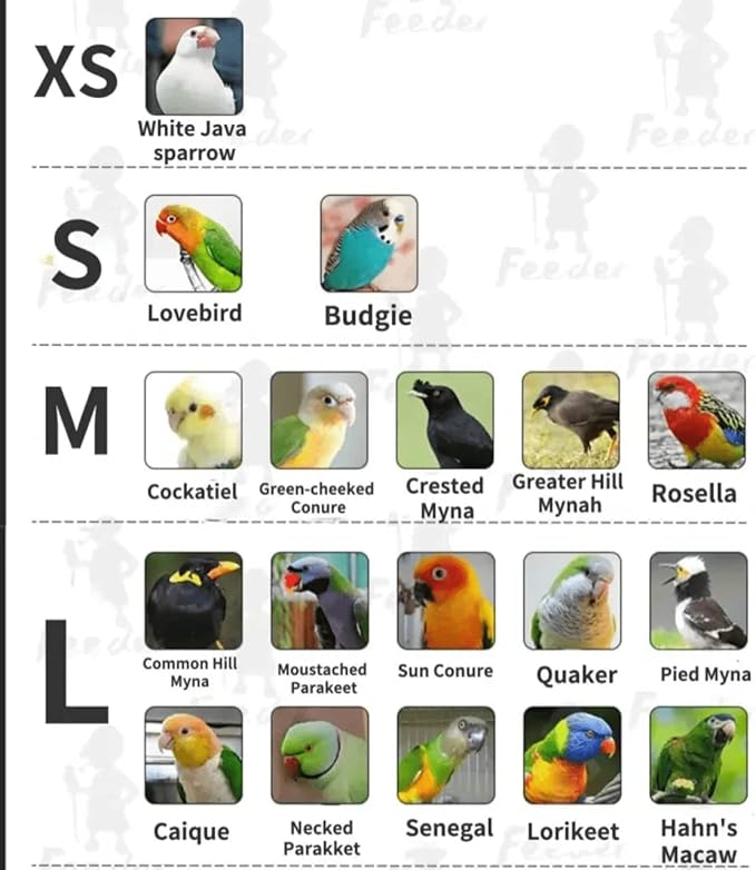 Bird Flight Suits Diapers, Parrot Flight Suits Diapers for Monk Parakeets, Cockatiels Flight Suits, Parrot Clothes, Bird Training Nappy Suit Liners Clothes (S, Red-B)