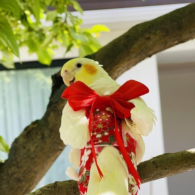 Bird Diaper Parrot Washable Diapers, Parrot Flight Suit, Reusable Nappies for Parakeet Cockatiel Mini Macaw Budgie Conure Lovebird (Black,2XL)