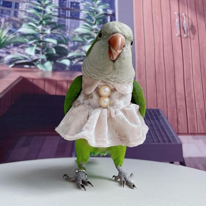 Bird Costume Bird Diaper Flight Suit Parrot Velvet Fleece Skirt Clothes Cosplay Photo Prop for Conure Lovebird Parakeet Cockatiel Macaw Small Animals Apparel (White,X-Small)