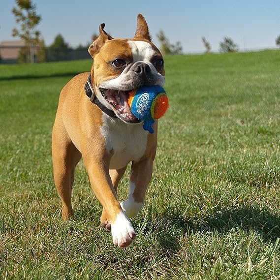 Nerf Dog Tennis Ball Blaster Dog Toy Gift Set, Tennis Ball Dog Fetch Toy Launches up to 50 ft, Dog Ball Thrower for All Breeds Includes Green Tennis Ball Launcher and 3 Dog Tennis Balls