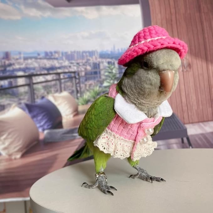 Eclectus Bird Diaper Flight Suit - Pink Top Cosplay Photo Prop for Parrots, Lovebirds, Parakeets & Cockatiels