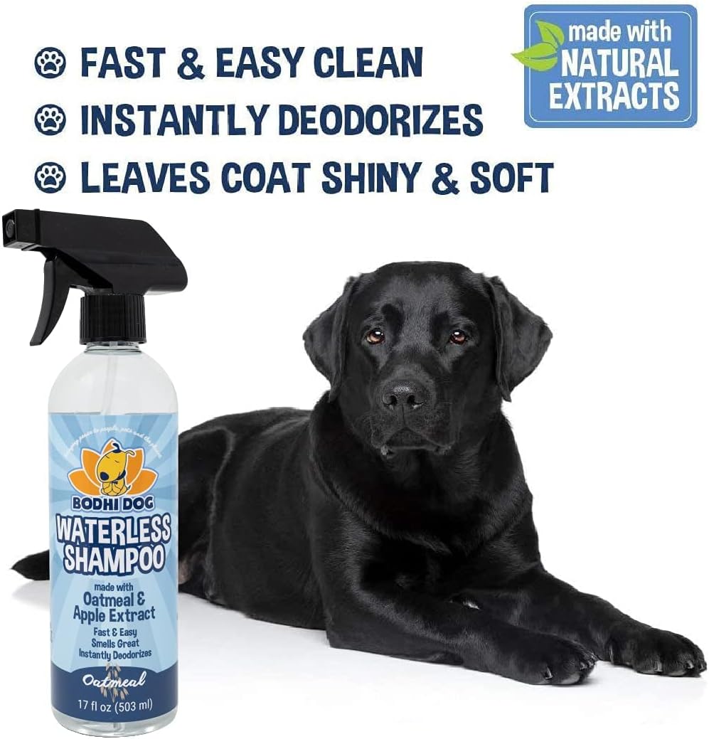 Bodhi Dog Waterless Shampoo. Everyday comfort that fits naturally into your space.