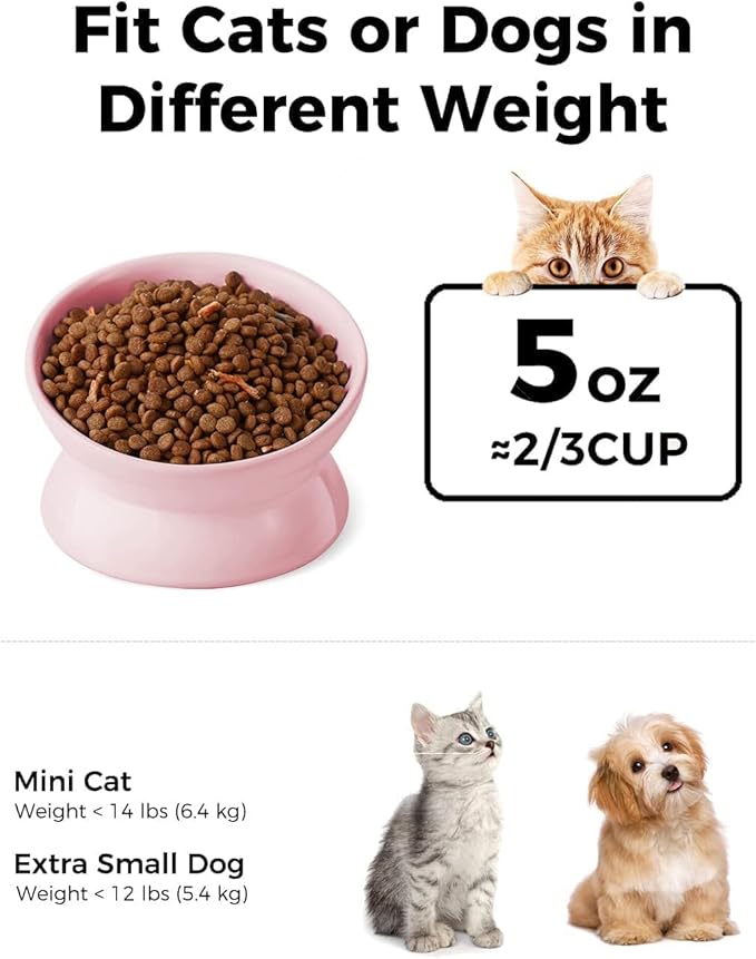 LoeJan Elevated Cat Food Bowl, 5 Oz Ceramic Raised and Tilted Water Bowl, Anti Vomiting and Protect Pets' Spines Dishes for Small Dog, Fat Faced Cat, Kitten (Pink, 2 Pack)