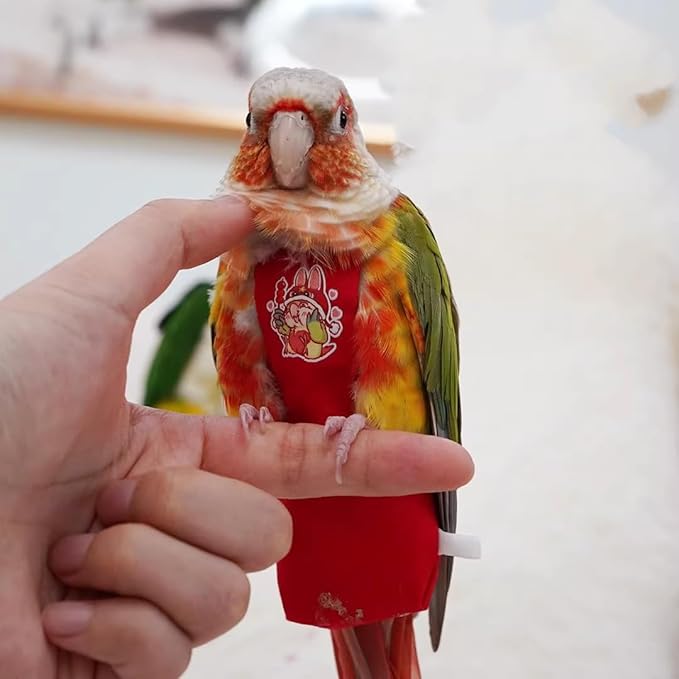 MANON ROSA Bird Diapers Leash Set Washable Reusable Handmade Flight Suit Waterproof Inner Layer - Protective Parrot Nappy Clothes Parakeets Macaws Budgies Canaries (Red2,Rainbow Lorikeet)