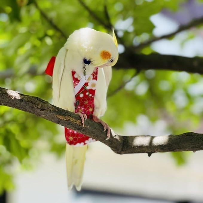 Bird Diaper Parrot Washable Diapers, Parrot Flight Suit, Reusable Nappies for Parakeet Cockatiel Mini Macaw Budgie Conure Lovebird (Purple,S)